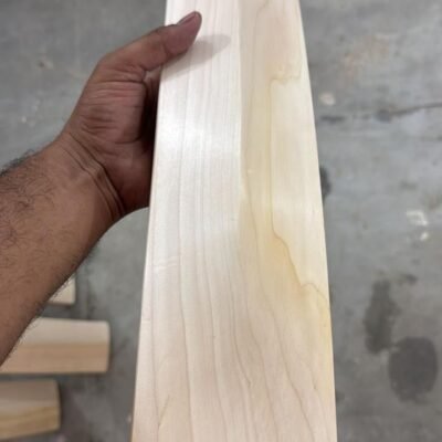 Handcrafted English Willow Cricket Bat | Premium Professional Grade Cricket Bat